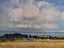 Norfolk Landscape