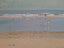 Beach At Low Tide