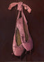 Pointe Shoes