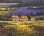 Lavender Farm, Sault - Paper 25 x 30cm - Framed