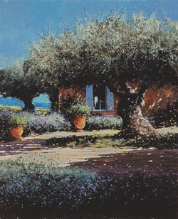 Garden With Olive Tree