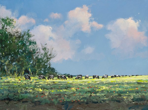 Cattle On Wiveton Marsh