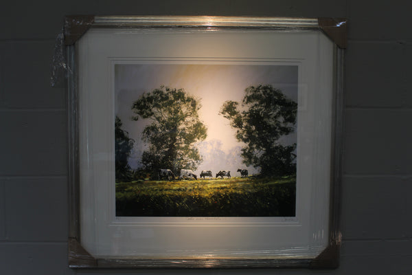 Cattle Near Hunworth (Artist's Proof) - Paper 50 x 60cm - Framed