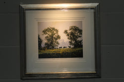 Cattle Near Hunworth - Paper 25 x 30cm - Framed