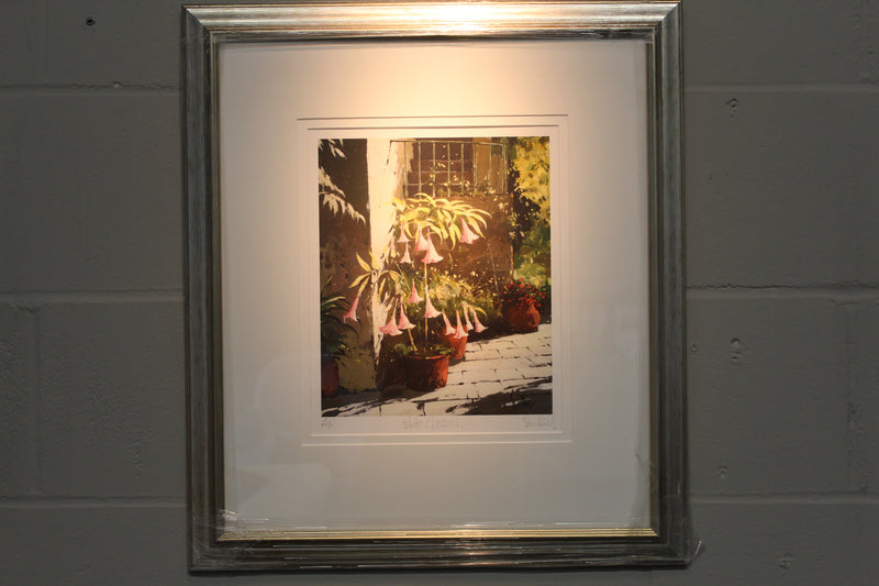 Patio Gassin, Datura Flower - Paper 25 x 30cm - Framed
