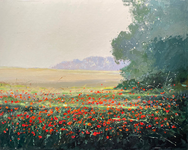 Poppies, Troyes
