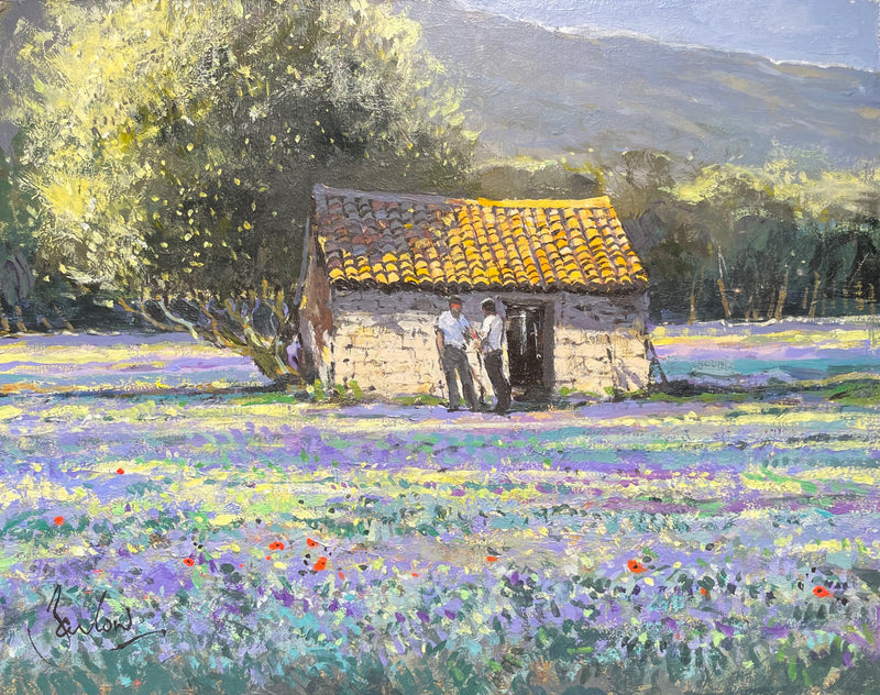 Lavender Fields, St. Remy